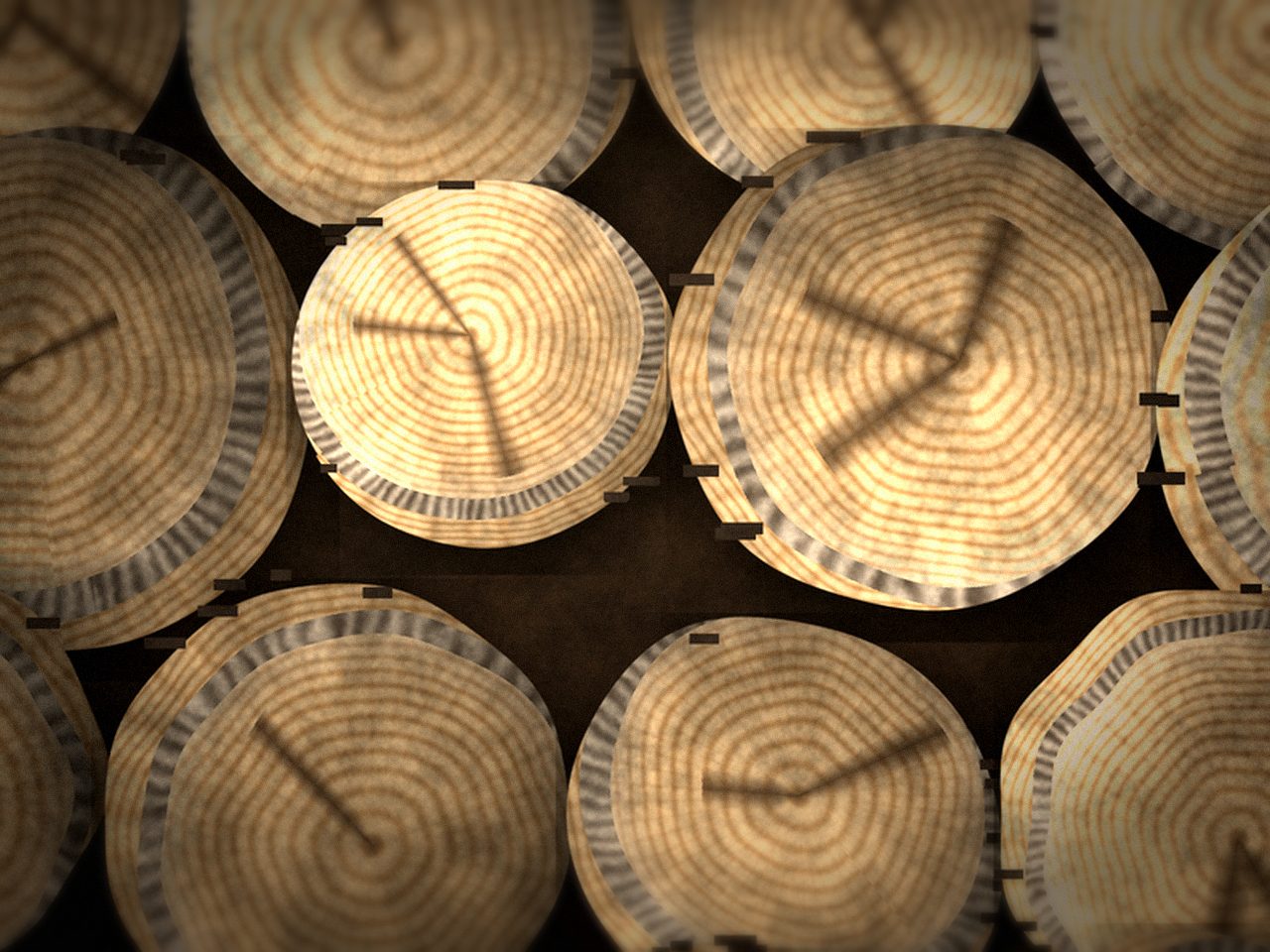 Берёзовые дрова естественной сушки — ракурс 3